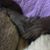 Samantha Kramer's profile image