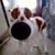 Wendy Clelan Koering's profile image