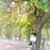Anil Kumar's profile image