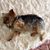Karen Rawson's profile image