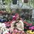 Jennifer Crotty's profile image
