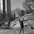 Lynda Mancino-Campos's profile image
