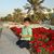 Fathi Haris's profile image