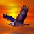 Robert M Pope's profile image