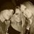Emily Stennes's profile image