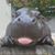 Donita Massey's profile image