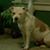 Betty Hernandez's profile image