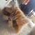 Kathy Bodine Smith's profile image