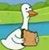 Gael Lopez's profile image