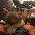 Brandy Briere Madonna's profile image