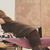 Sherry Olevsky's profile image
