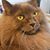 Erin Birt's profile image