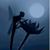 Brenda Hinds Barrett's profile image