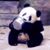 Jean Marc Sels's profile image