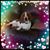 Ginny Williams's profile image