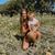 Breanna Terrenzi's profile image
