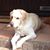Becky Taylor Power's profile image
