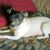 Donna Mulford's profile image