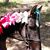 Sheryl Wood's profile image