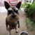 Denise Jasinski's profile image