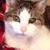 Sheila Hyland's profile image