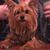 Jeremy Fisher's profile image