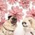 Mary Ann Sager's profile image