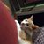 Erin Elizabeth Baader's profile image