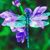 Margi Ashton's profile image