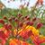 Nancy Zirkel's profile image