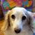Barbara Moesta's profile image