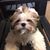Lorraine Warner Venable's profile image
