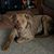 Janice Smith Green's profile image