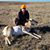 Stevie Ventura-Liberda's profile image