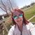 Sue Boeck's profile image