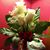Tammy Denning's profile image