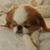 Chris Kaveney's profile image