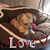 Brenda Rogers's profile image
