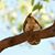 Walt- Donna Denson's profile image