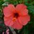 Rhonda Mitchell's profile image
