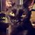 Jenny Wood Corriveau's profile image