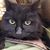 Joan Gilbert's profile image