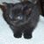 Paula Maher's profile image