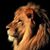 Matthew Denzler's profile image