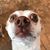 P.d. Fernandez's profile image
