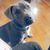 Ashley Nolen Norwood's profile image