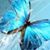 Toni Reed Hensley's profile image