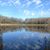 Tracy Shoup's profile image