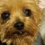 Fonda Plassenthal's profile image