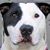 Sharon Richardson's profile image